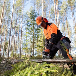 Kuvassa metsuri sahaa moottorisahalla puuta metsässä